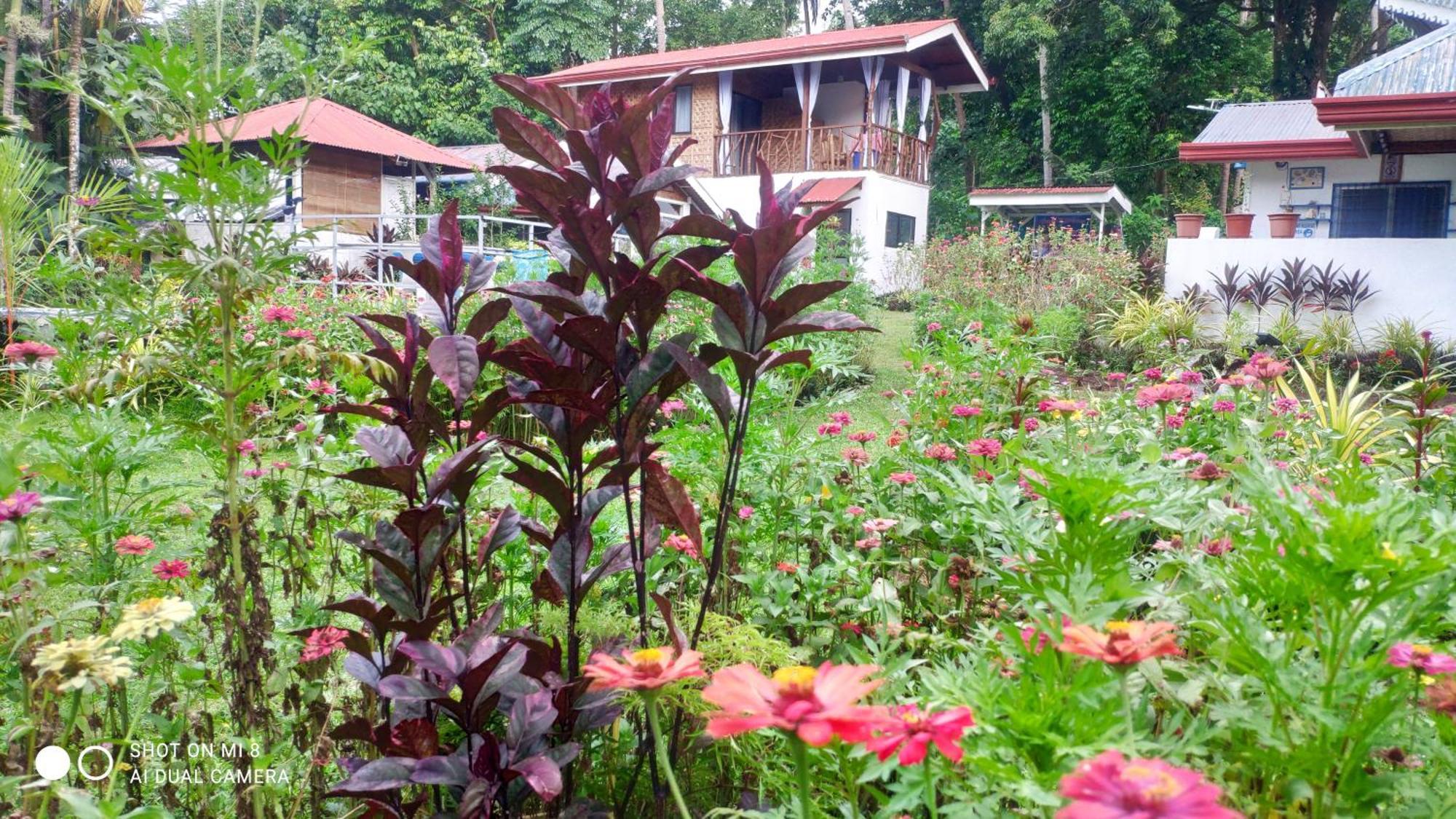 Sun House Rental มัมบาเฮา ภายนอก รูปภาพ