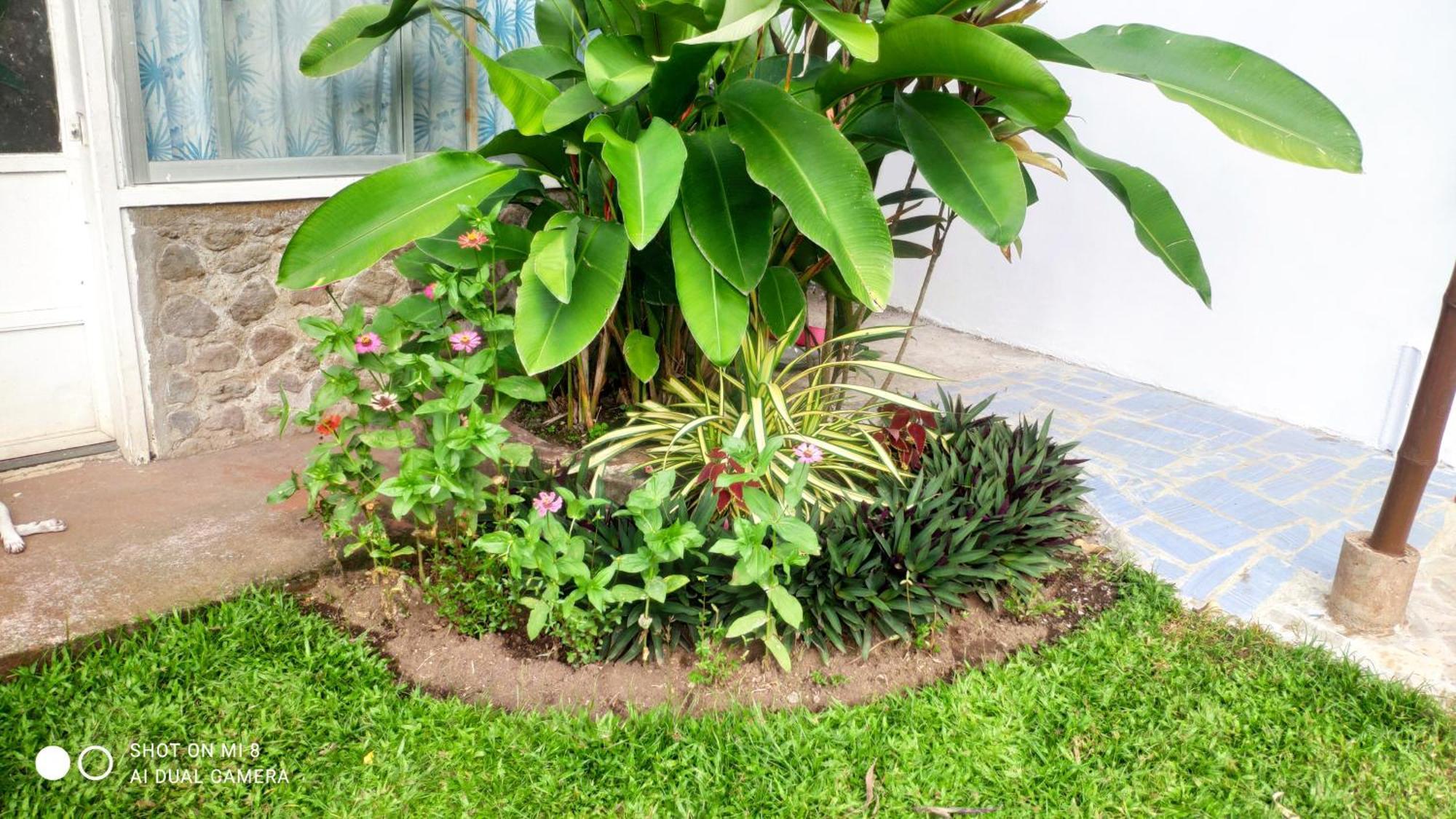 Sun House Rental มัมบาเฮา ภายนอก รูปภาพ